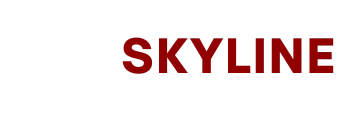 Skyline VIP Limo
